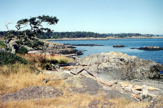 215 Victoria-Sooke Kayaking and Boating Map