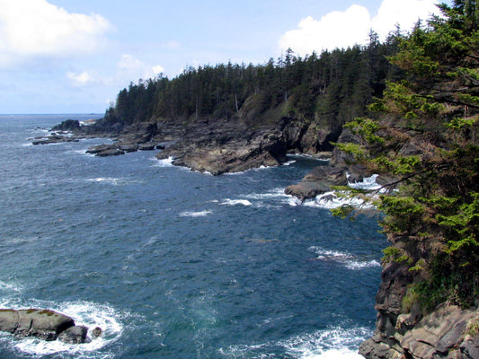 212 West Coast Trail North Trail and Marine Map