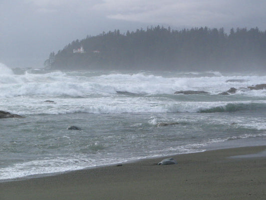 213 West Coast Trail South Trail and Marine Map