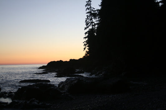 214 Juan de Fuca Trail and Marine Map