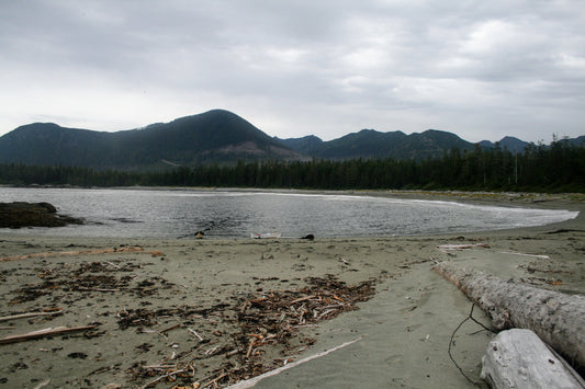 206 Hesquiat Peninsula Coast and Trail Map