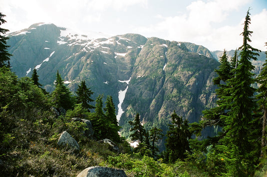 The Comox Glacier: A primer