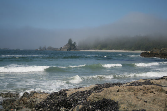 The Nootka Trail: a primer