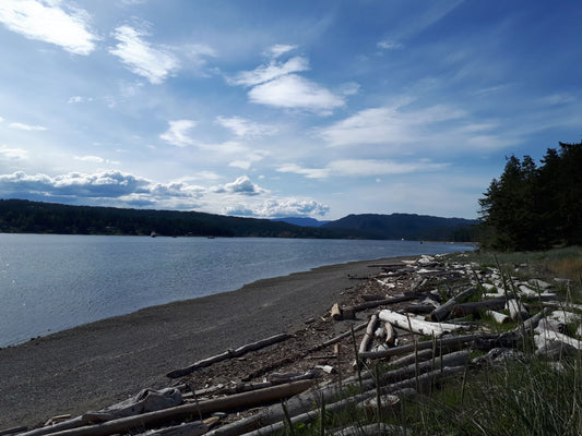 Heriot Bay: the tidy package at Quadra Island