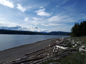 Heriot Bay: the tidy package at Quadra Island
