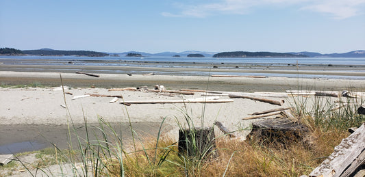 The #1 complication for planning kayaking trips in British Columbia: congestion