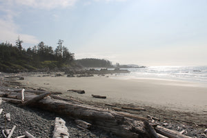 North Coast Trail: Stories in the Sand