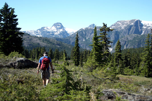 401 - Forbidden Plateau / Strathcona Provincial Park Topographic Trail Map