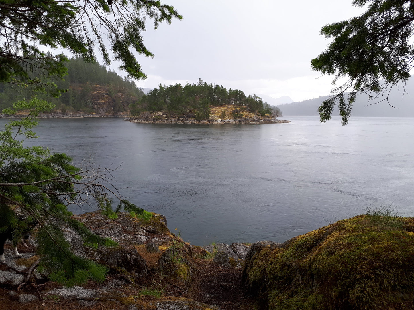233 Discovery Islands South Kayaking and Boating Map